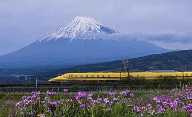 地域密着の安全運行