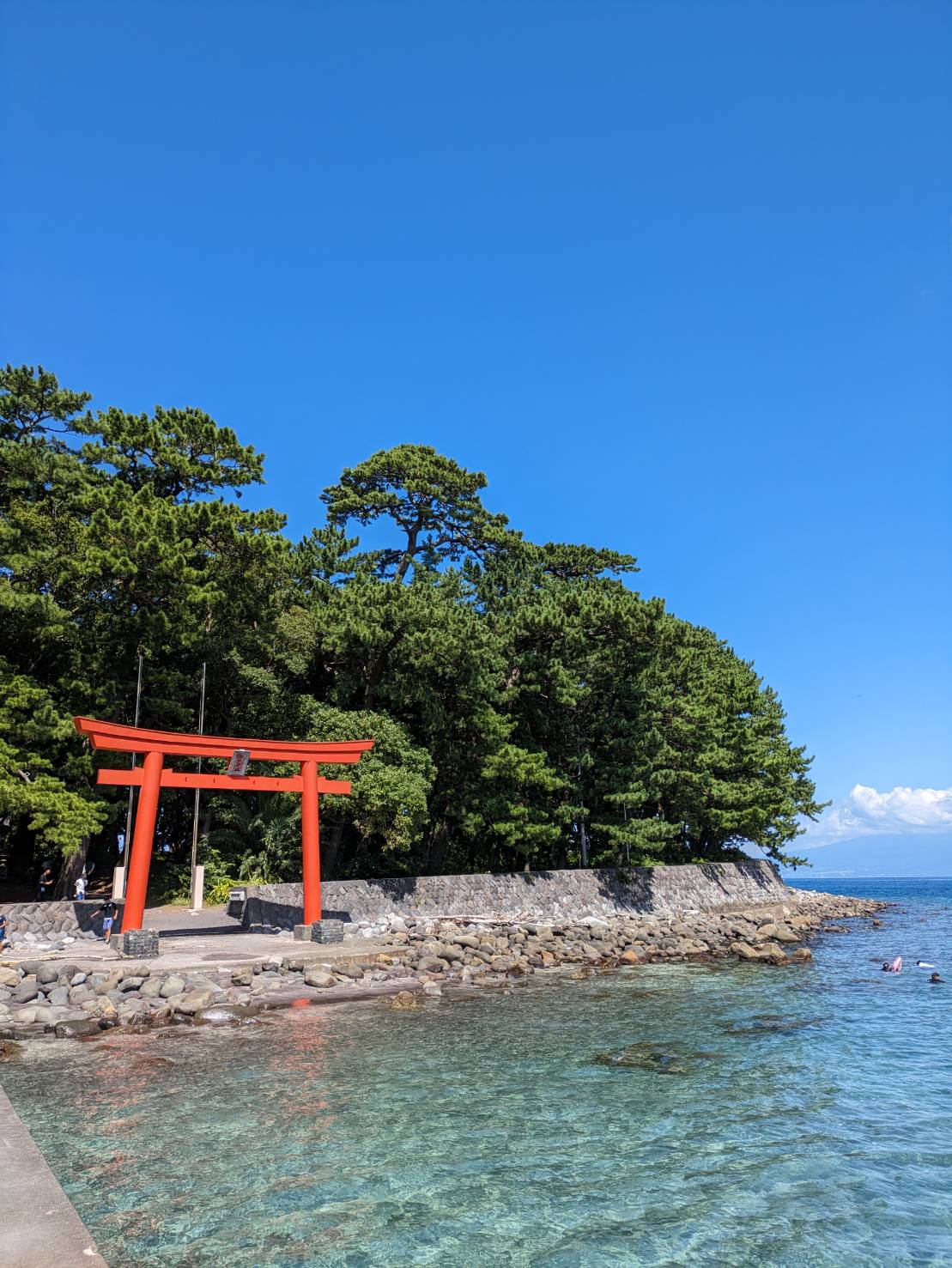 快適な移動で観光を便利に