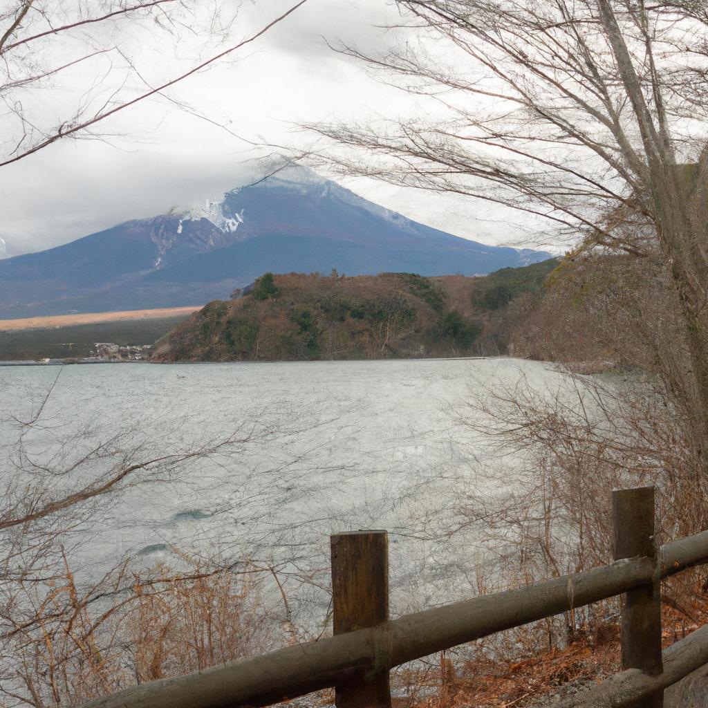2. 富士五湖観光の魅力