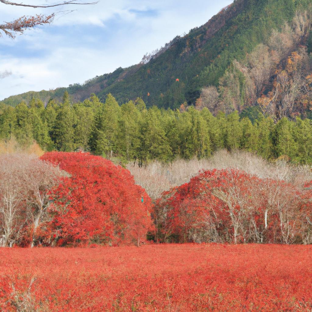 富士市での勤務環境