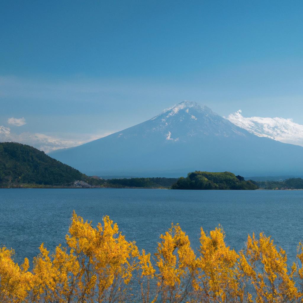 富士五湖と一緒に楽しむ日帰りツアー