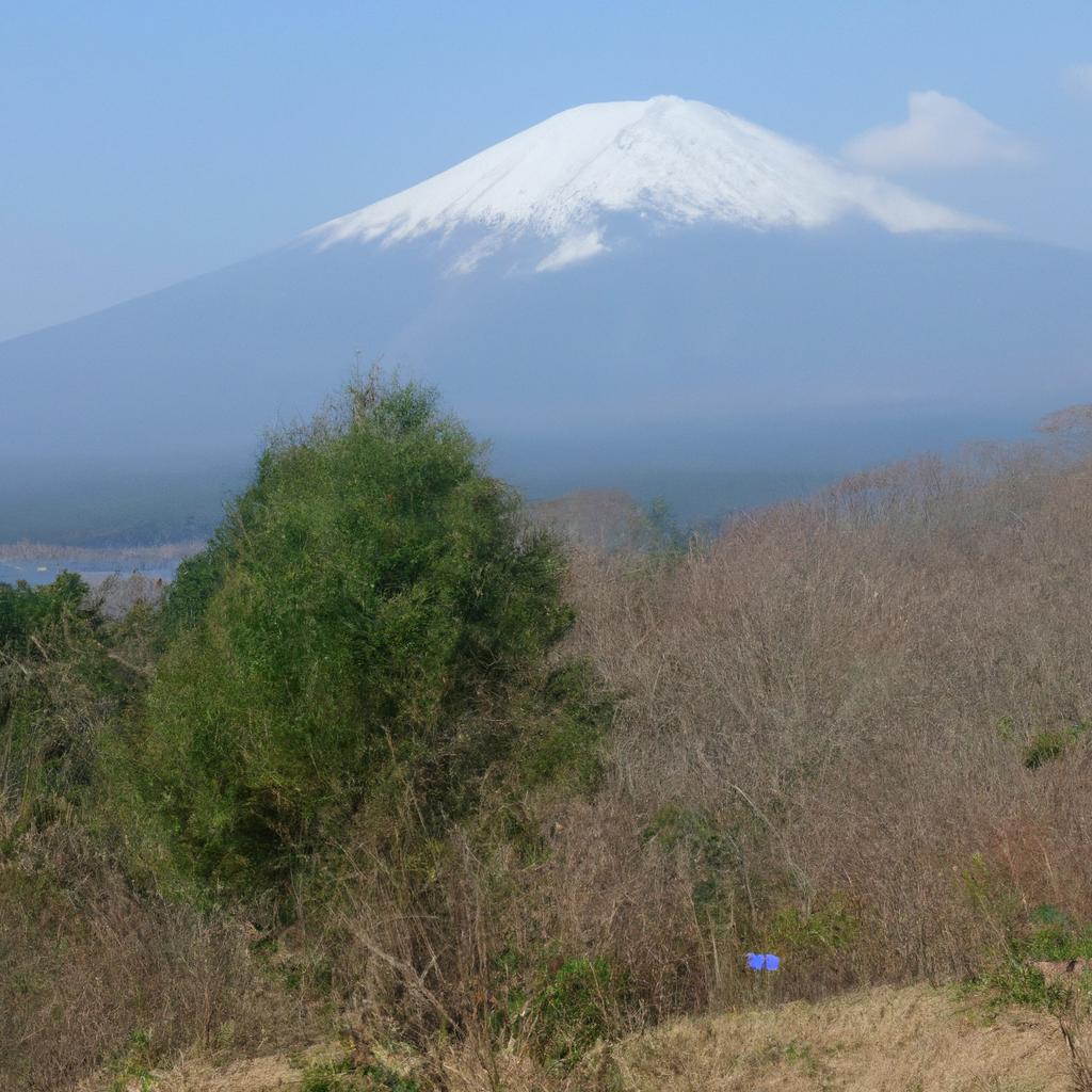 選ばれる観光名所