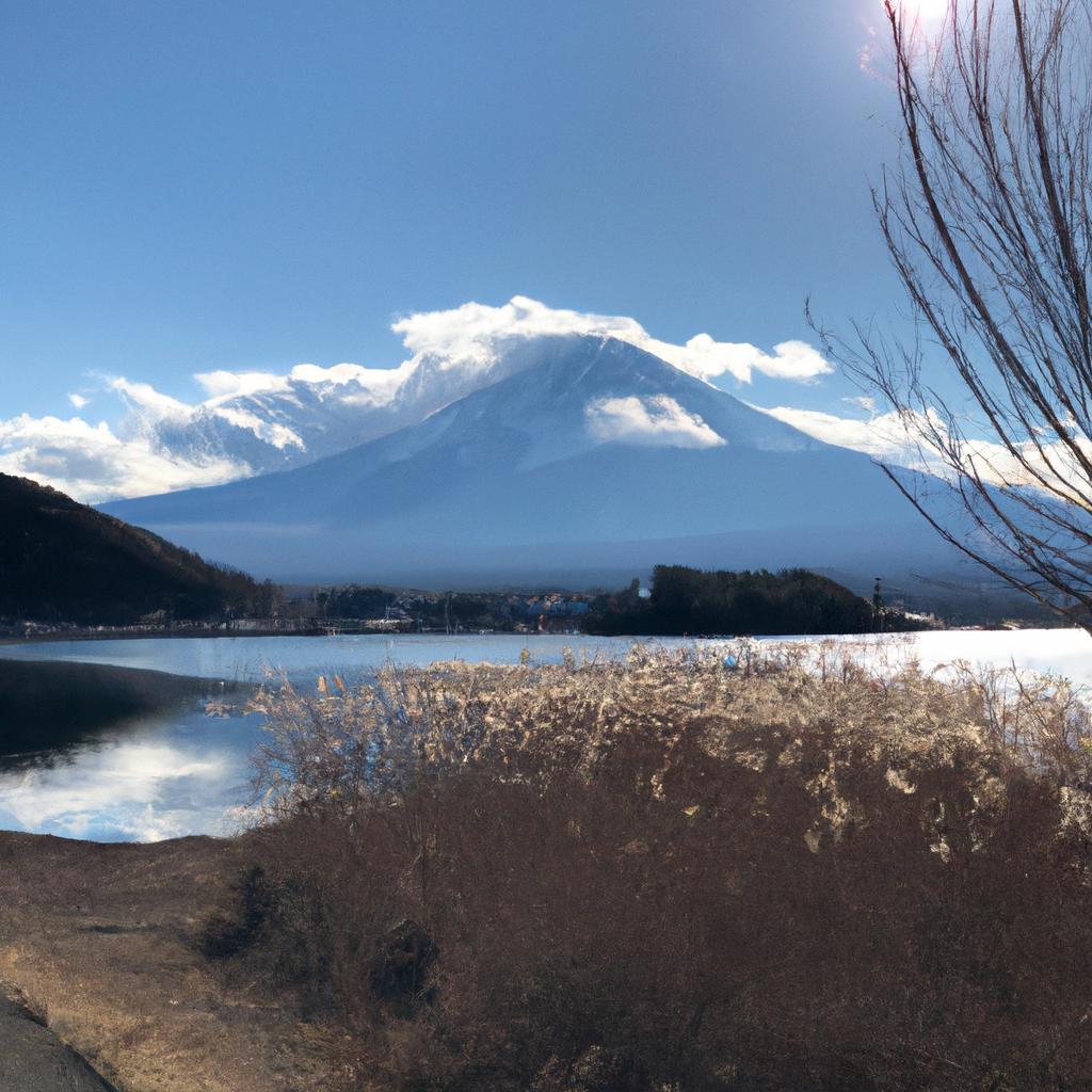 多様な自然体験メニュー