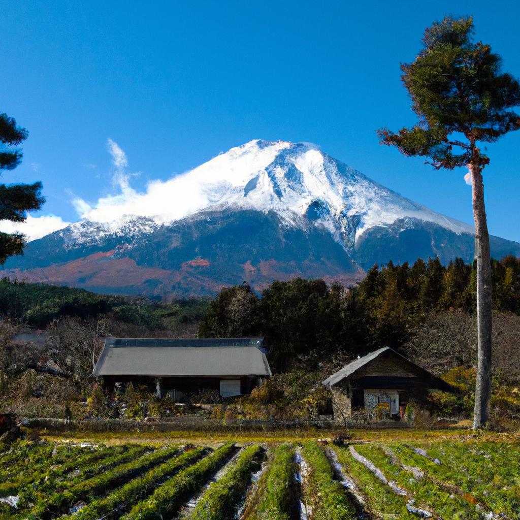 日帰り旅行の楽しみ方