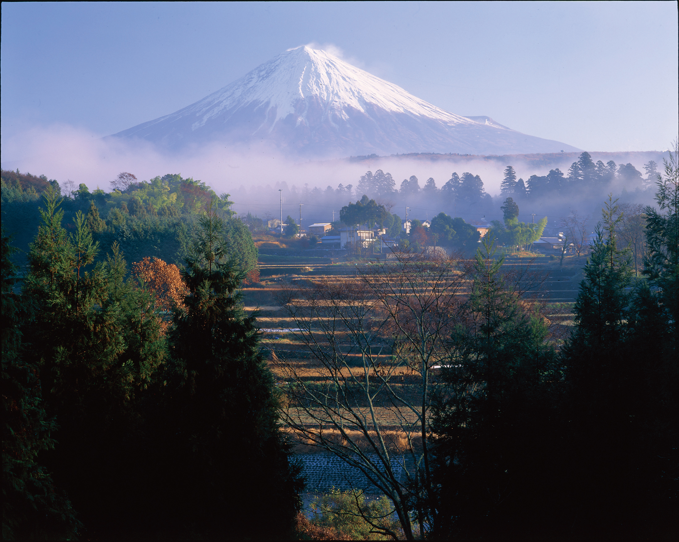 4. 富士山ハイキング体験